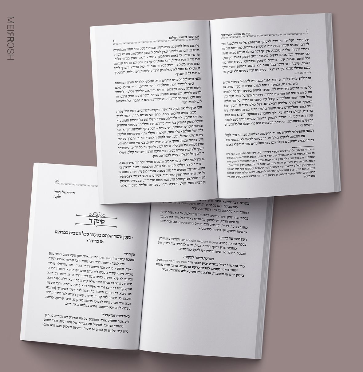 חוברת אביר יעקבMeirRoshDesignB_result