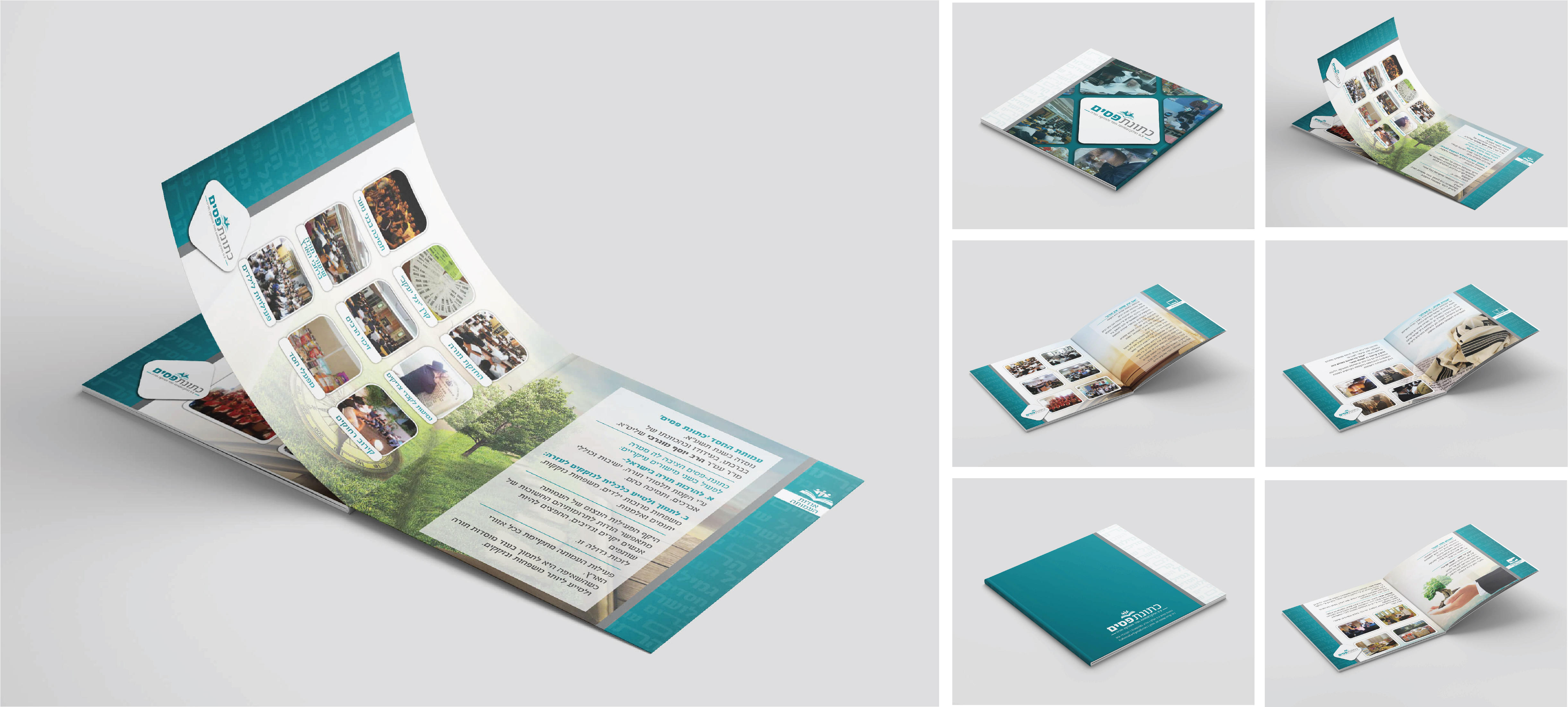 חוברת תדמית ומיתוג כתונת פסים