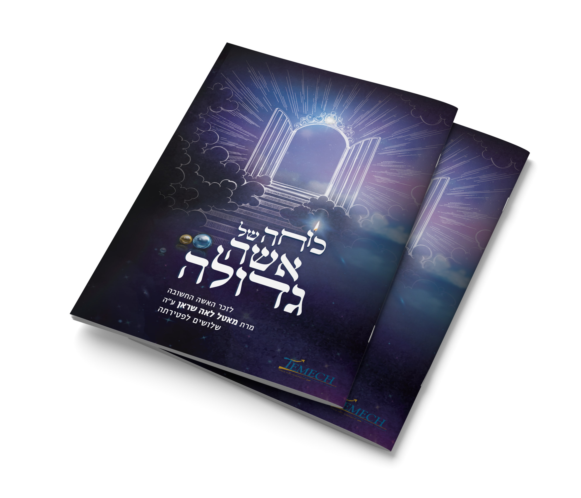 חוברת תמך.jpg