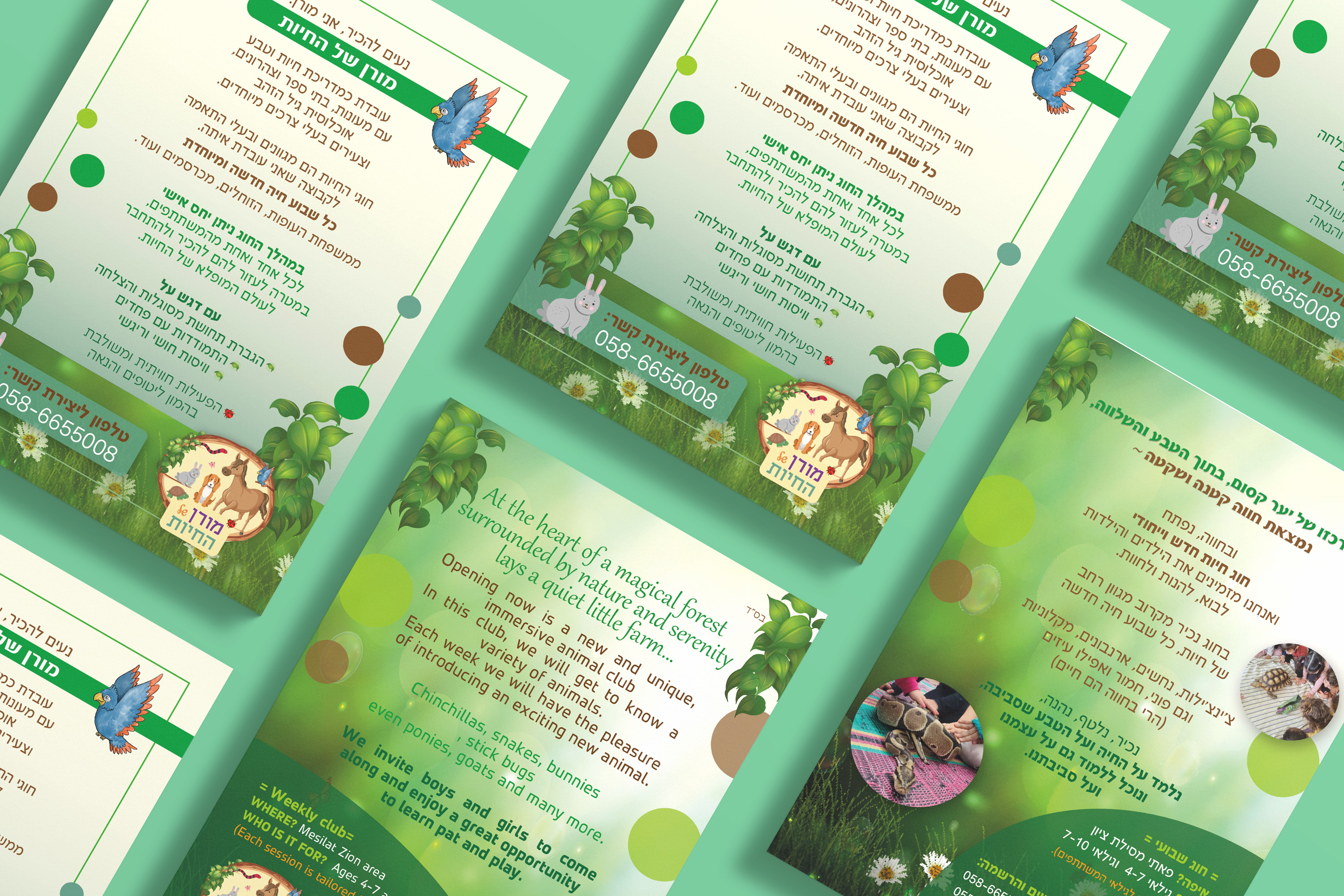 חוג חיות (2).jpg