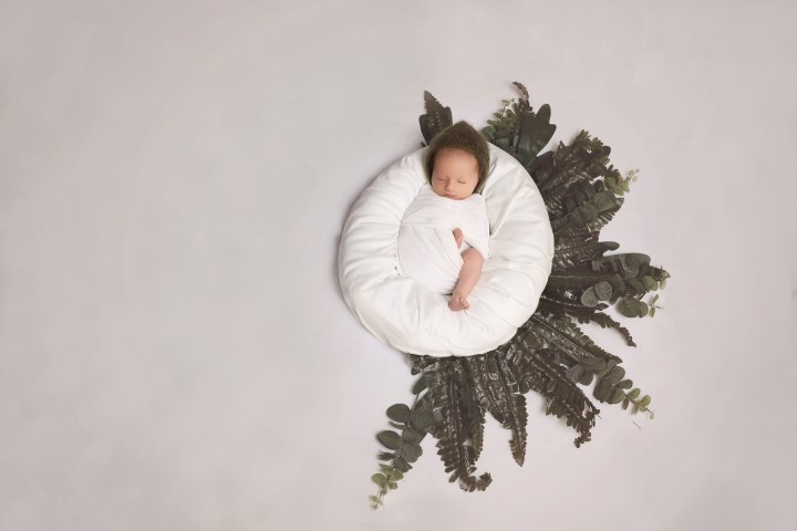 חוי בינעט new born