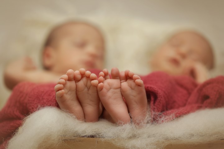 חוי בינעט new born