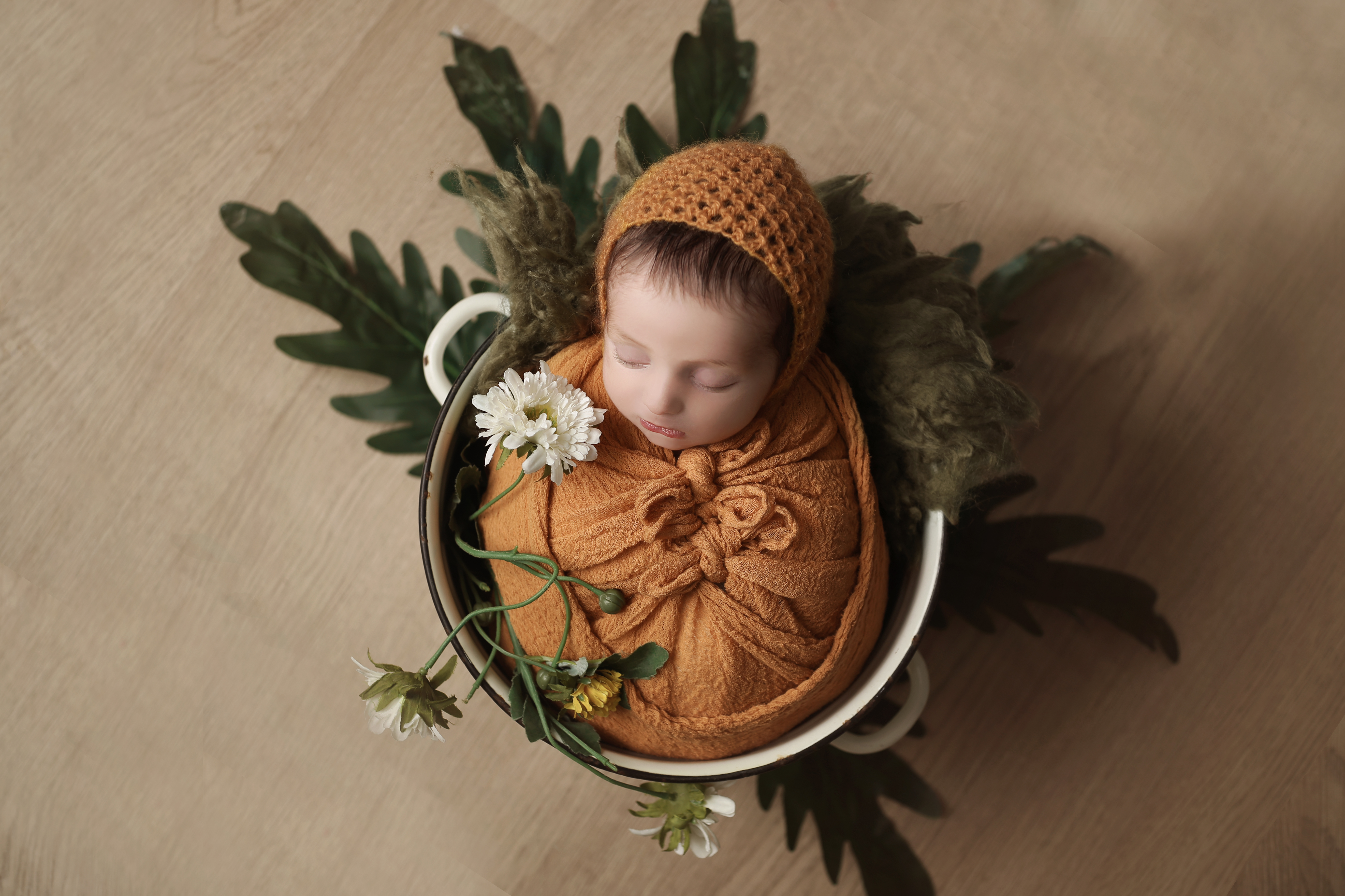 חוי בינעט new born