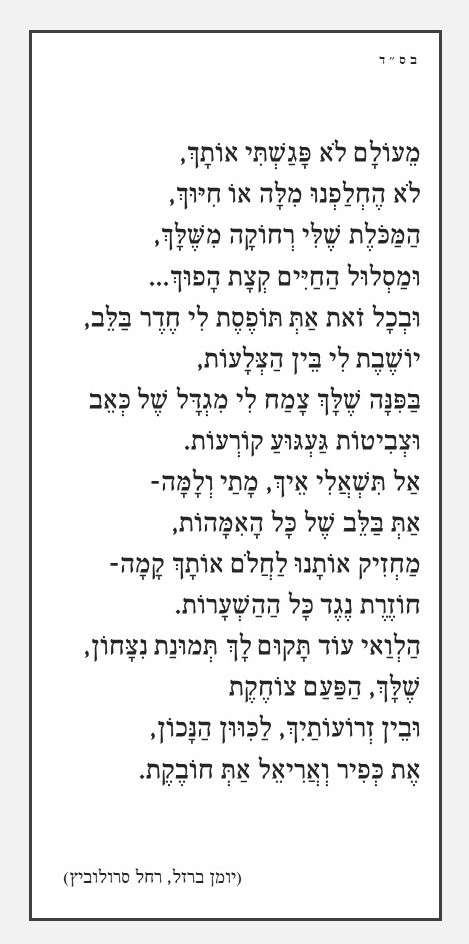 חולמת שתשירי.jpg