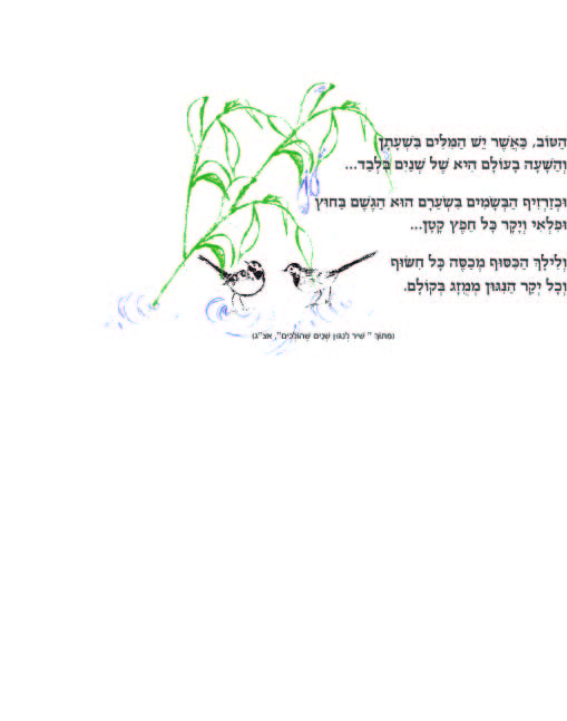 חזית הזמנה לחתונה. האיור מעשה ידי בעפרונות רישום, צביעה וליטוש קל באמצעות תוכנות הגרפיקה.