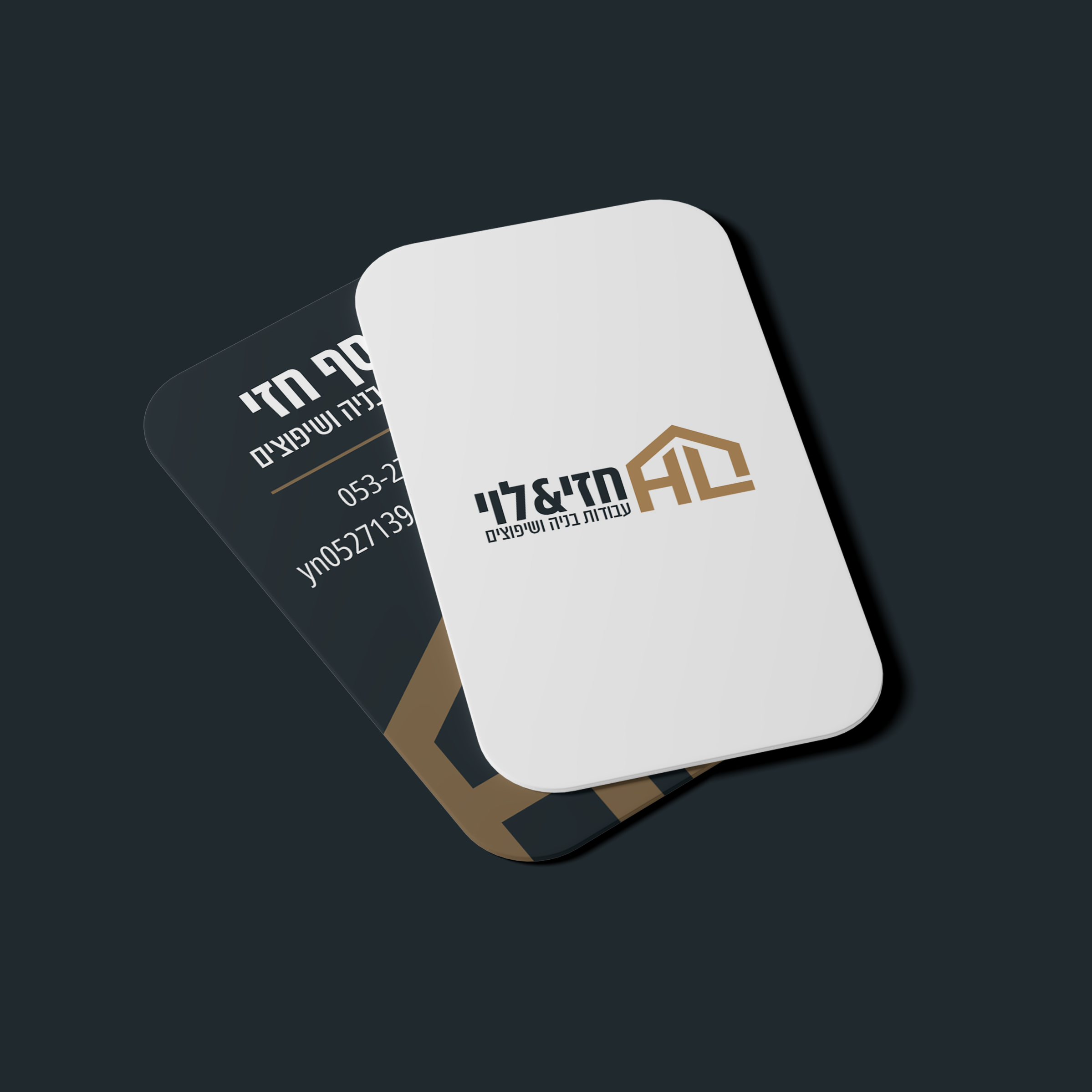 חזי ולוי פוסט2.png