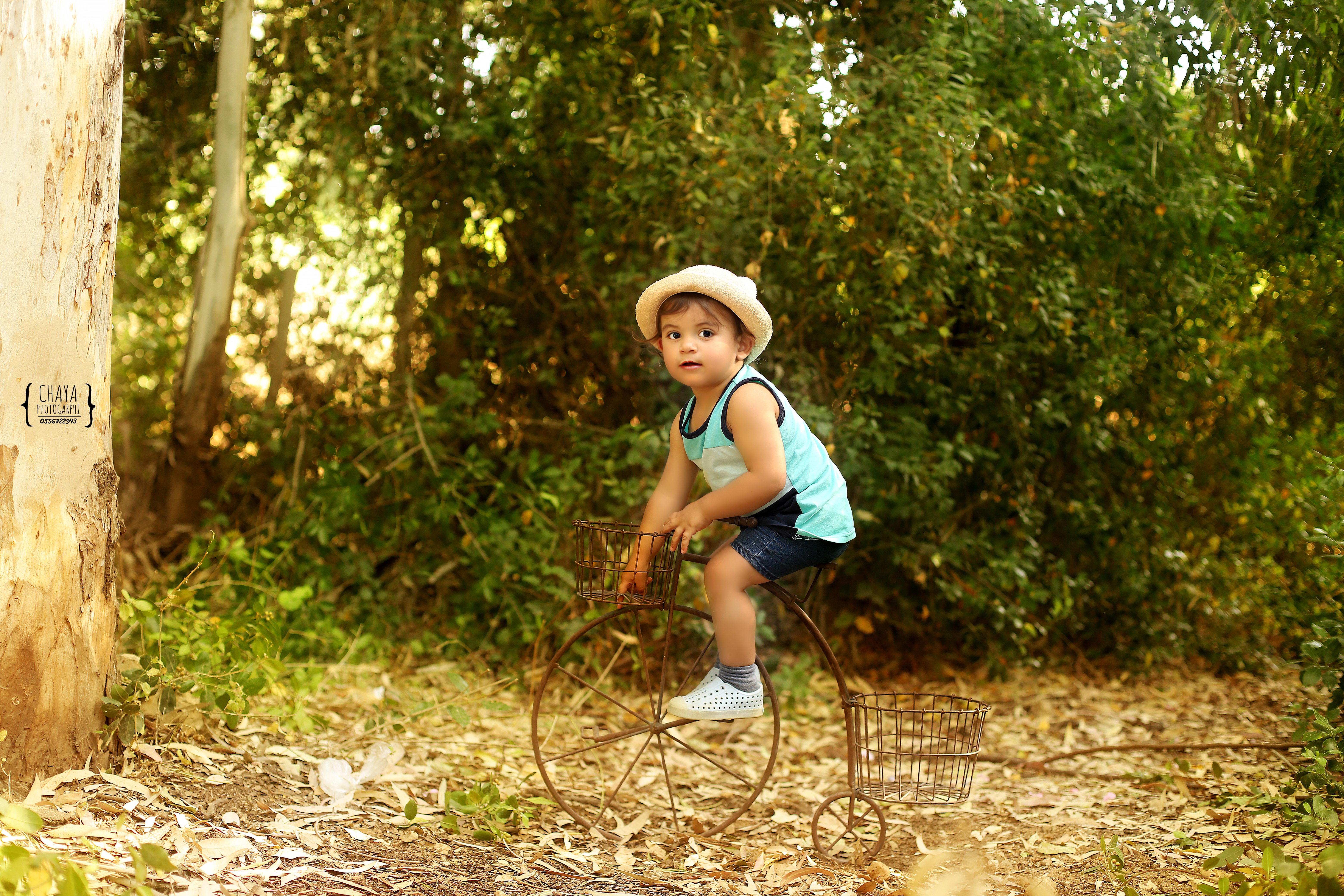 חיה מישור 0556722943 (5).jpg