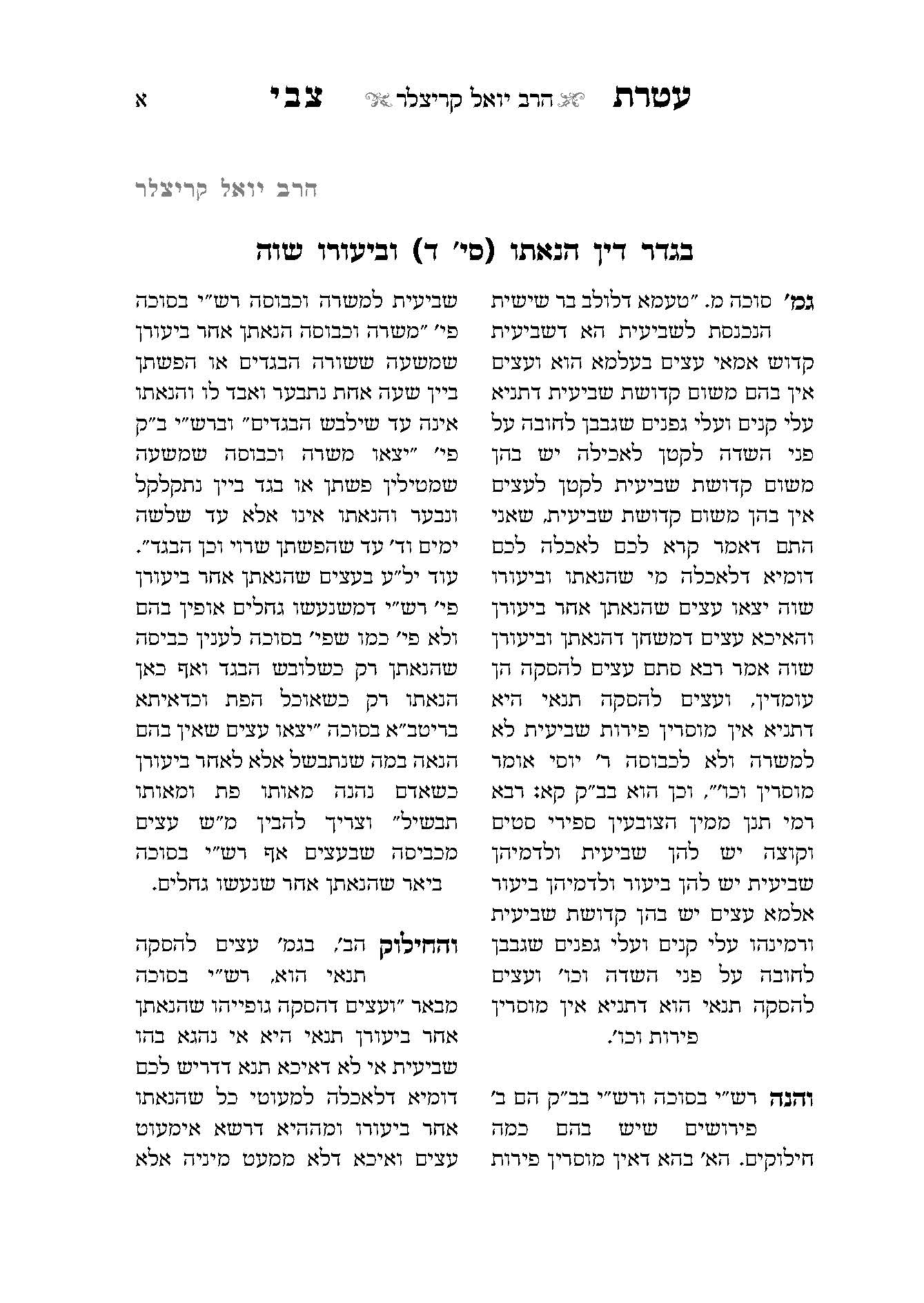 חיון-עימוד ספרים (1).jpg