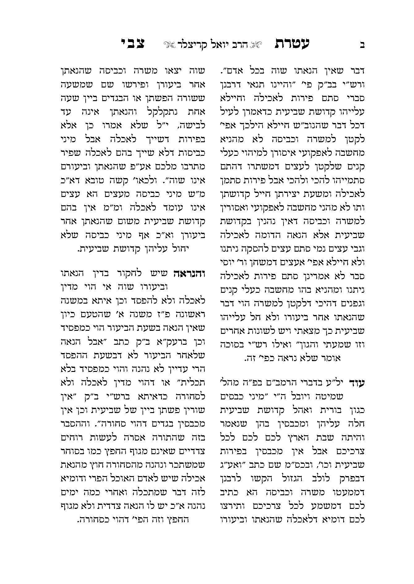 חיון-עימוד ספרים (2).jpg