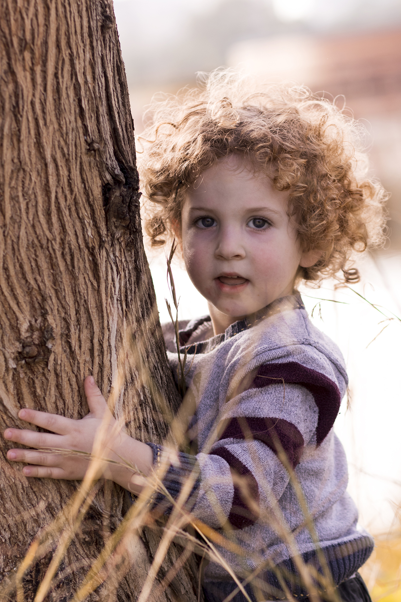 חלאקה גבל (1)