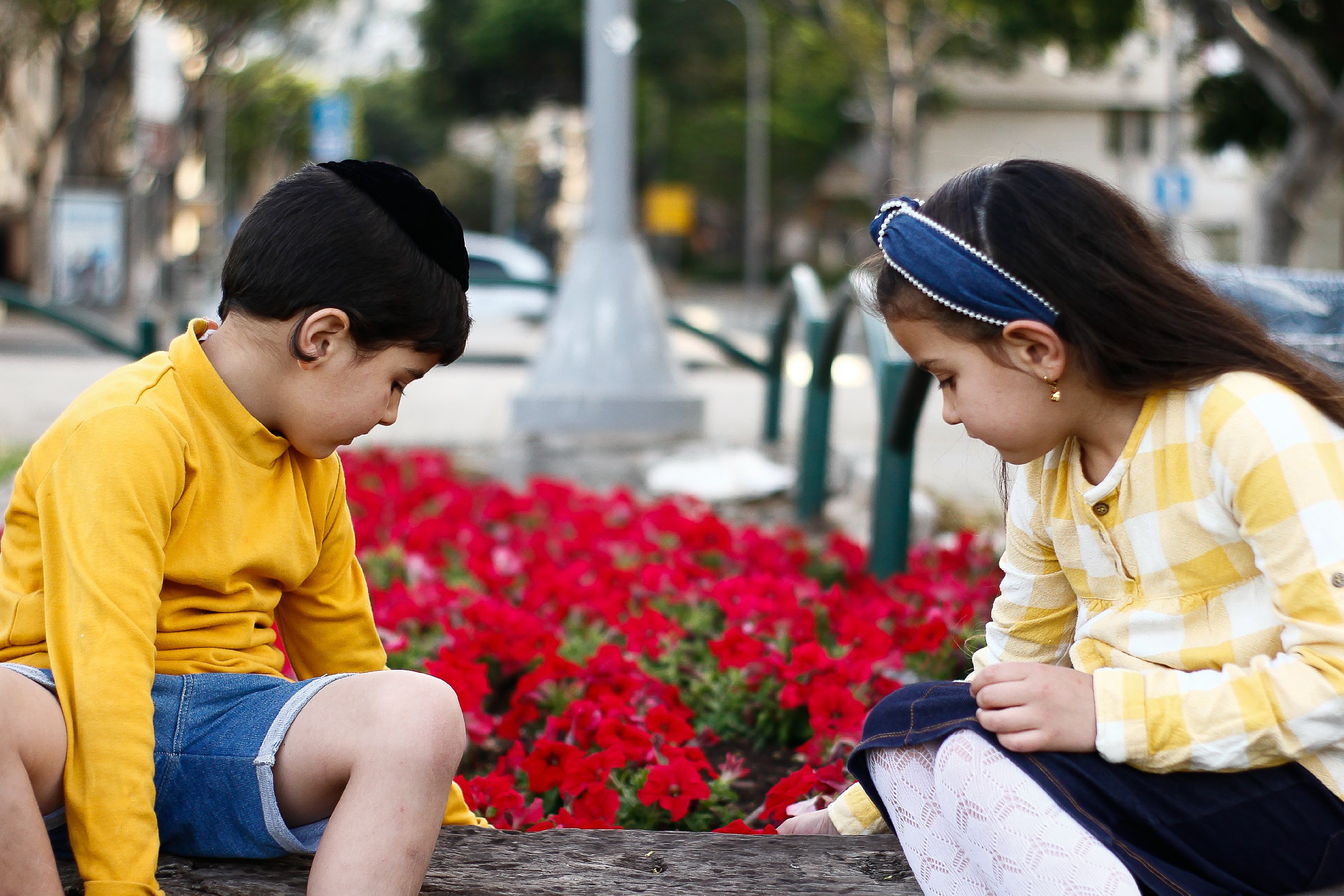 חלאקה דוד (87).jpg