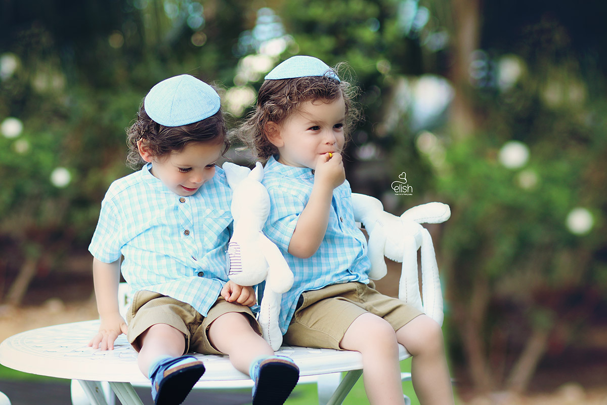 חלאקה תאומים2