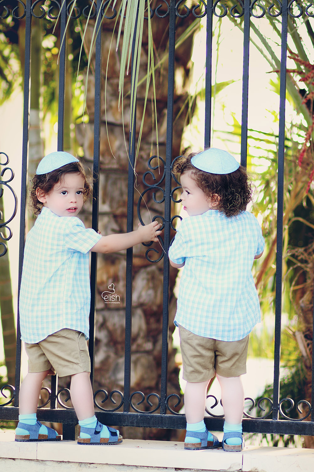 חלאקה תאומים8