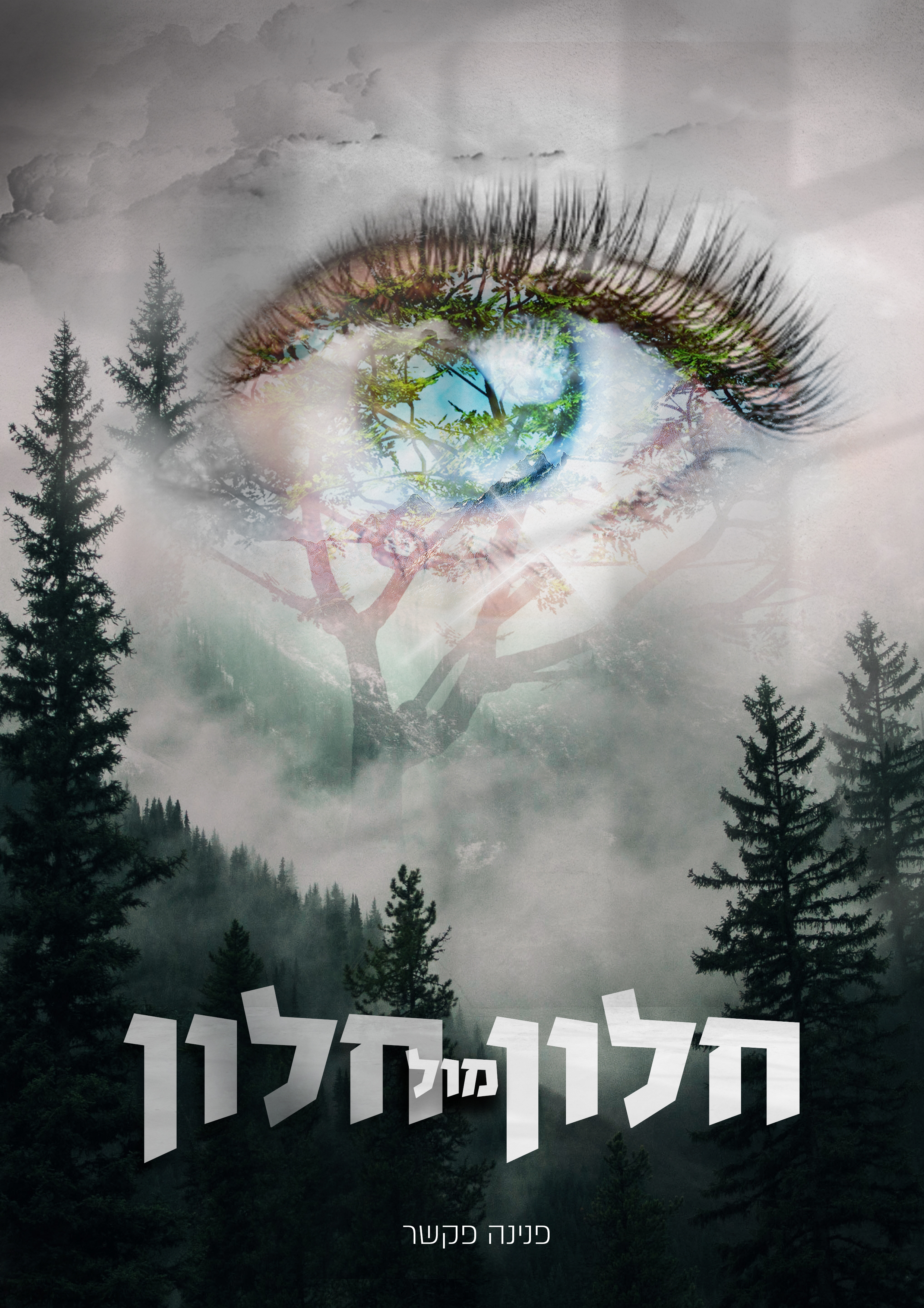 חלון מול חלון 1.jpg