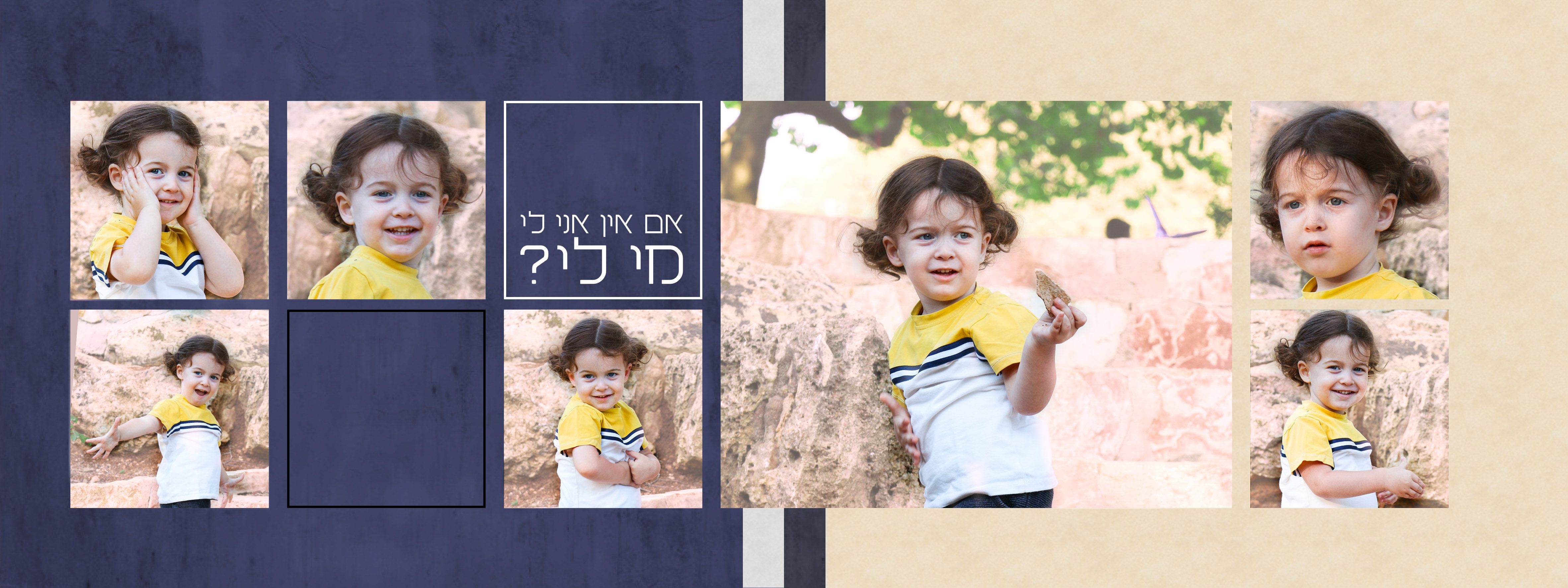 חלקה (7).JPG