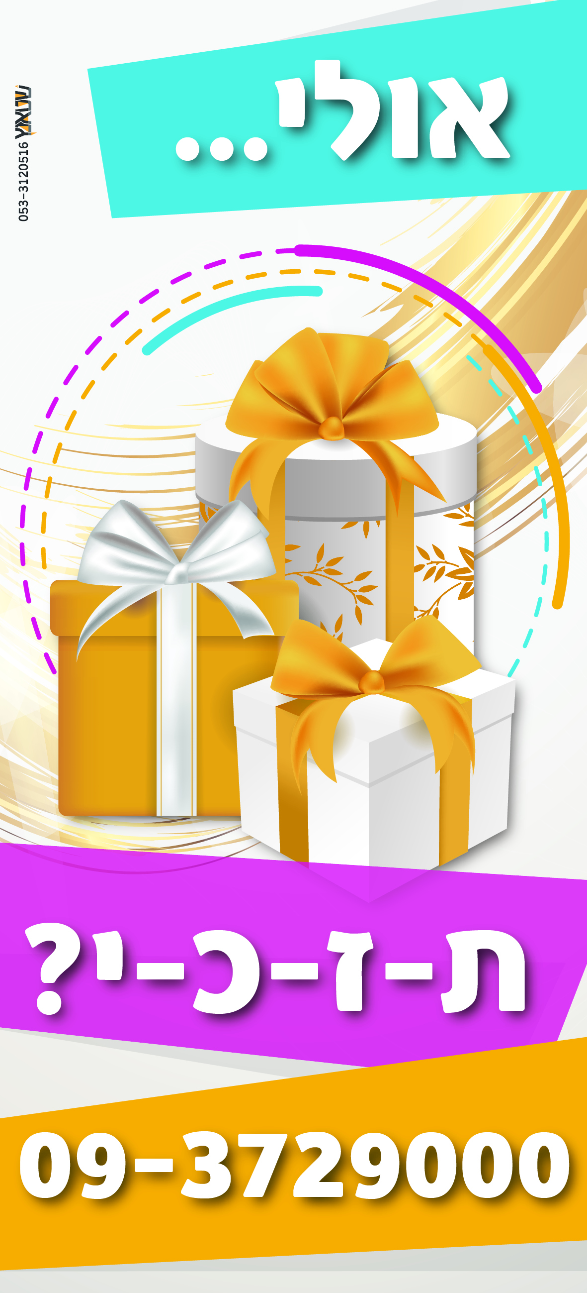 חלק מפרוספקט לאירגון נשי של חסידות צאנז