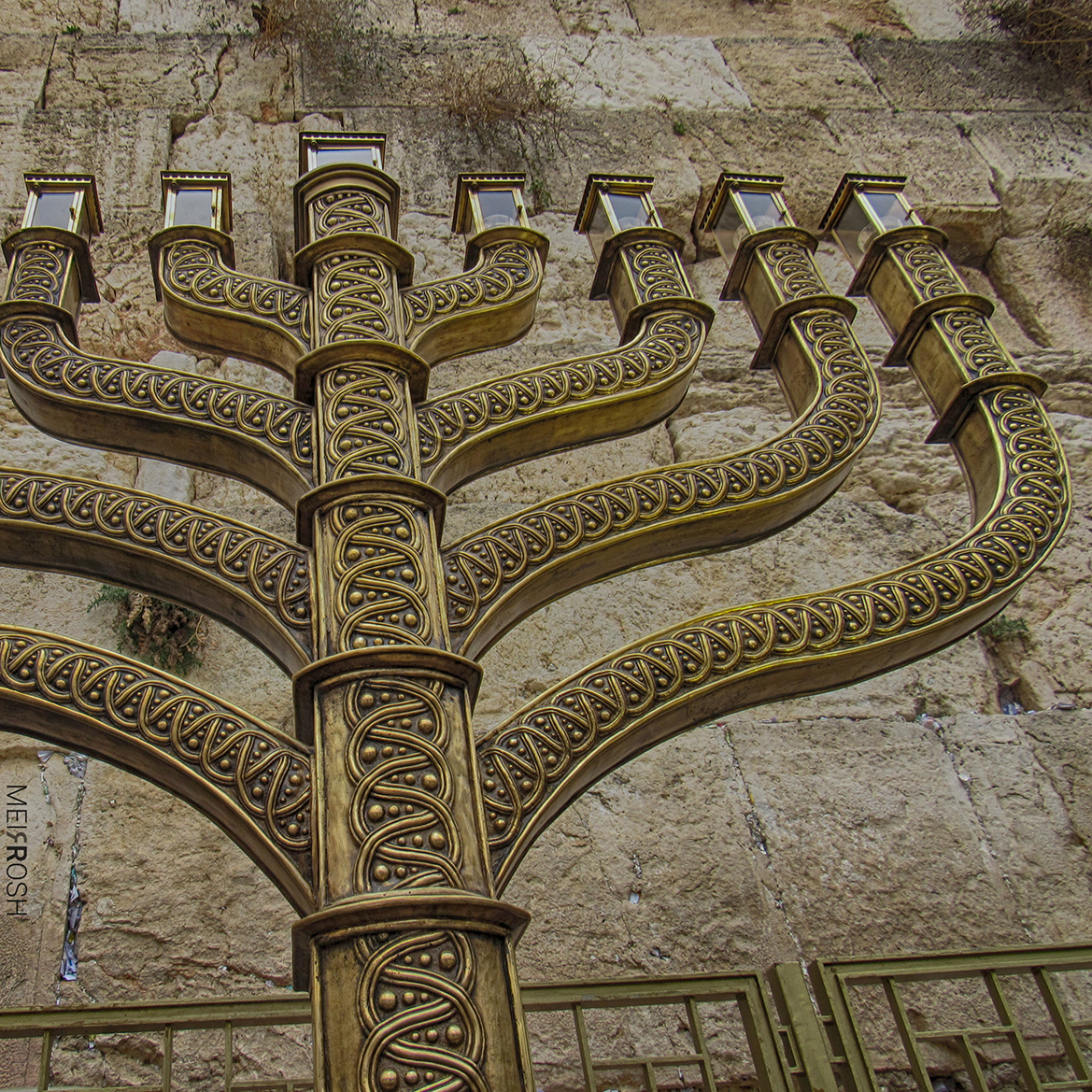 חנוכה תש''פ ירושלים (6)