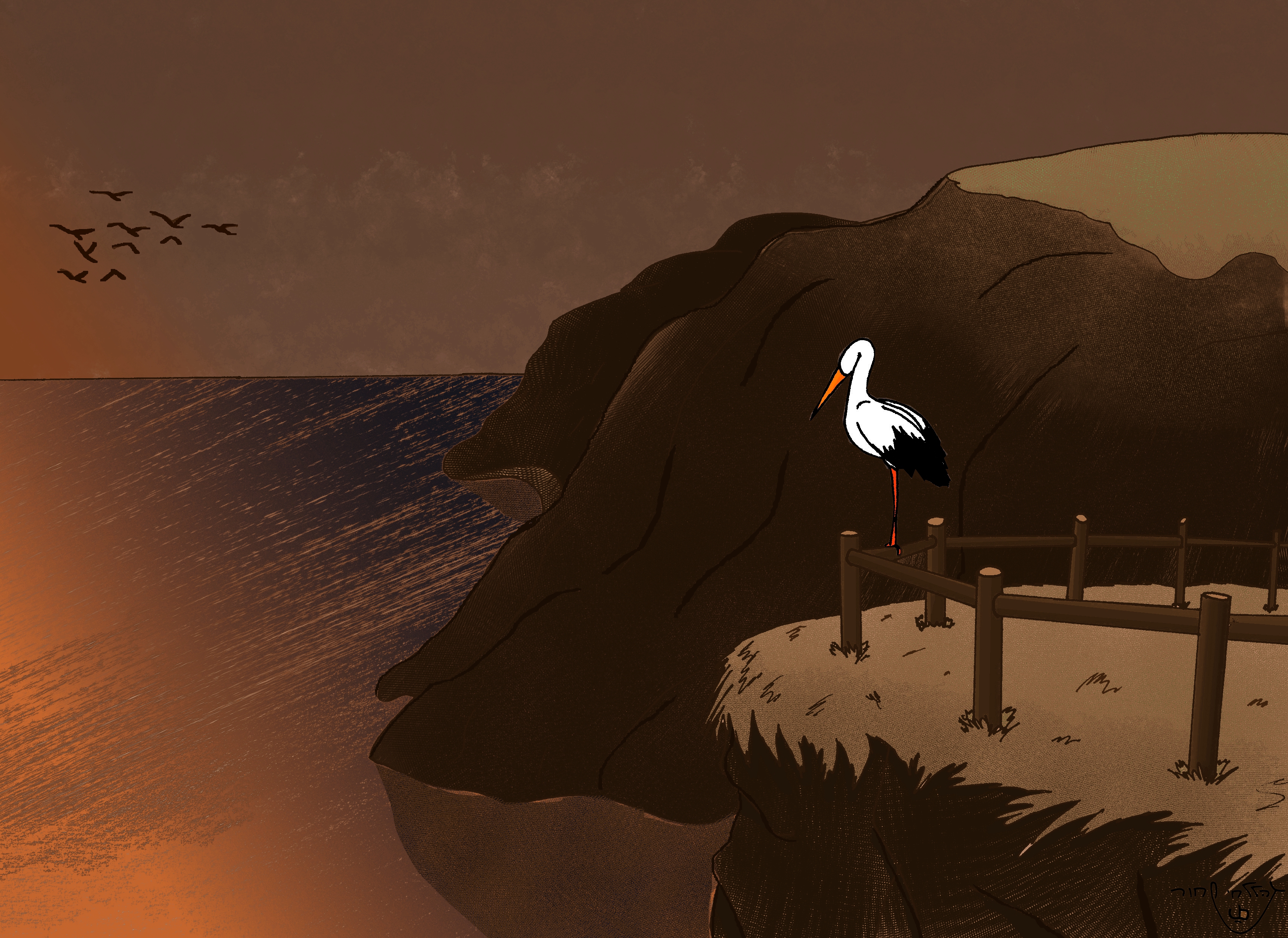 חסידה בצוק אפל עם אור.