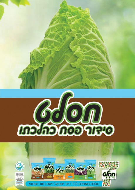 חסלט - מודעת פסח