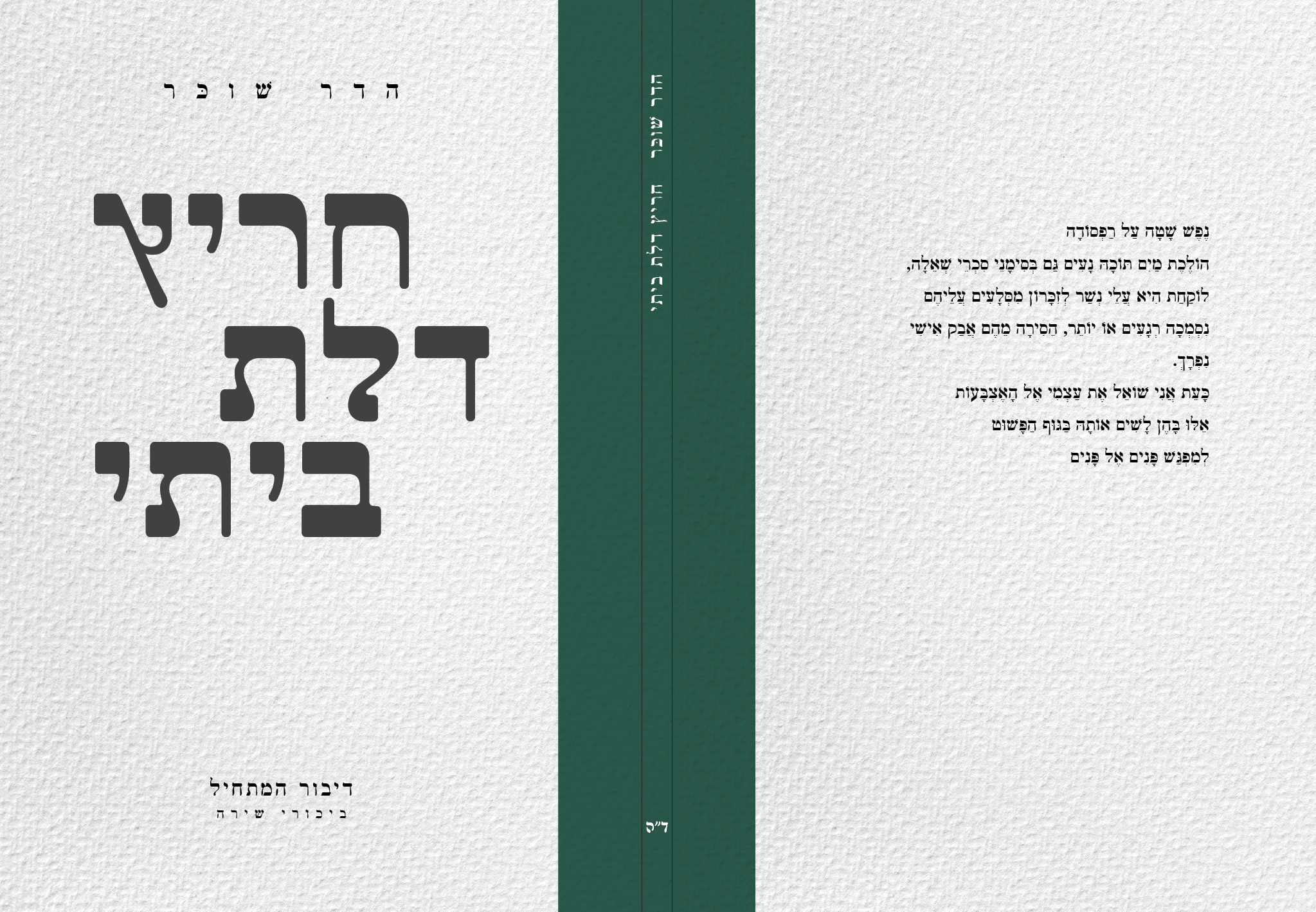 חריץ דלת ביתי - כריכה.png