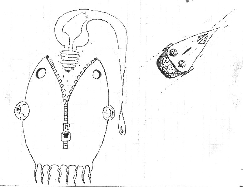 חרציפלינגים