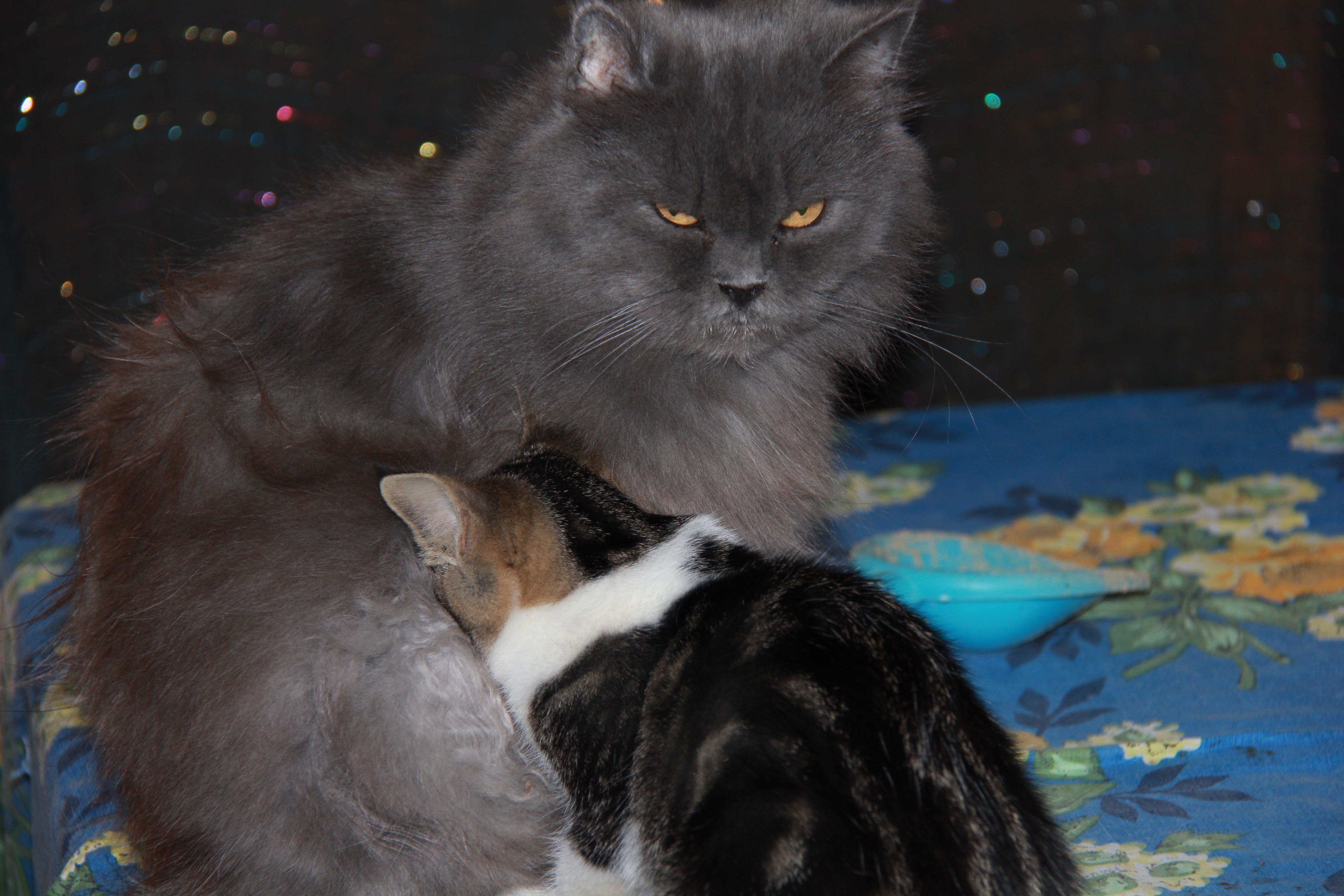 חשוון תשעב 163