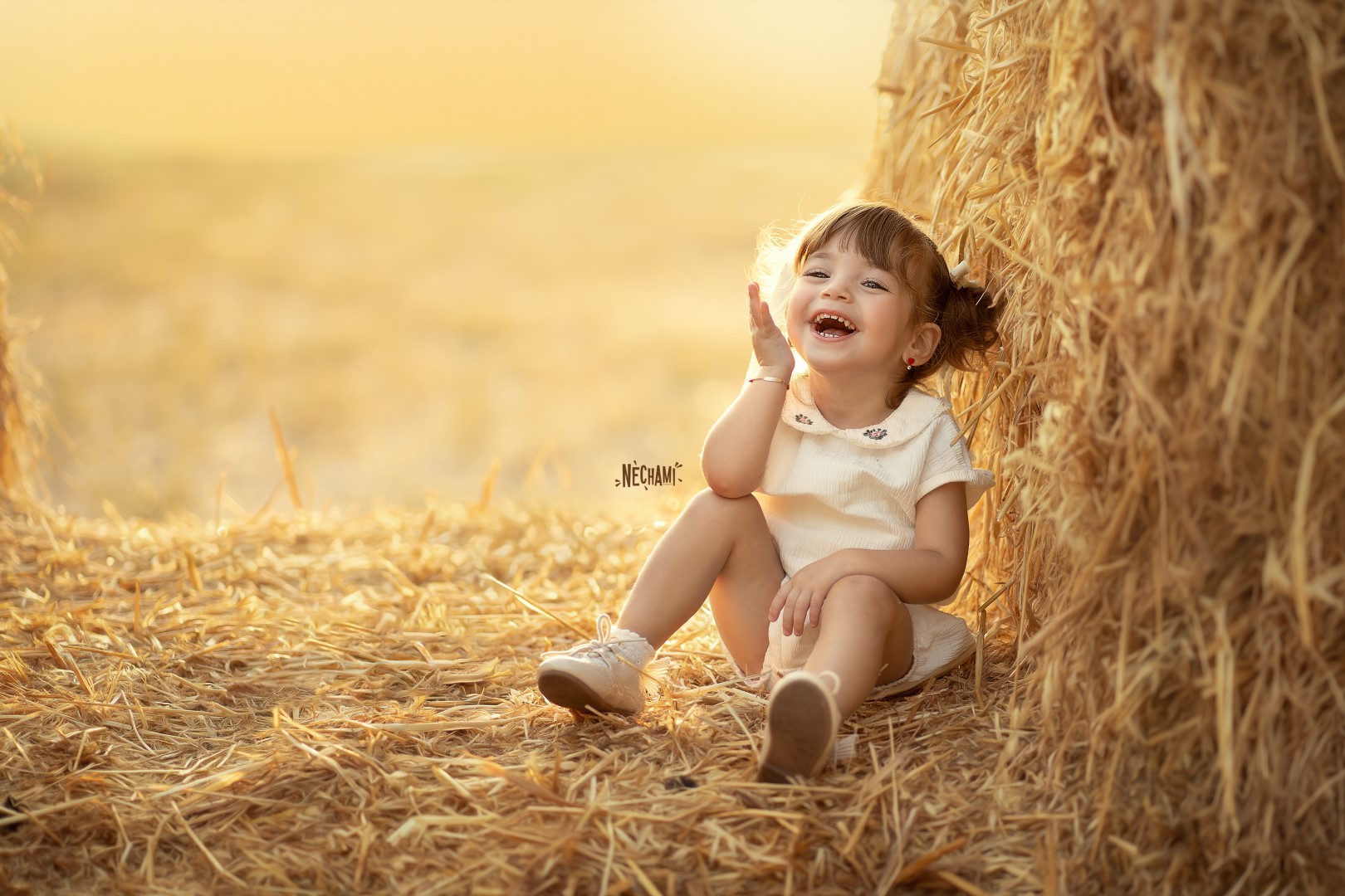 חתום-0556733034 (Large).jpg