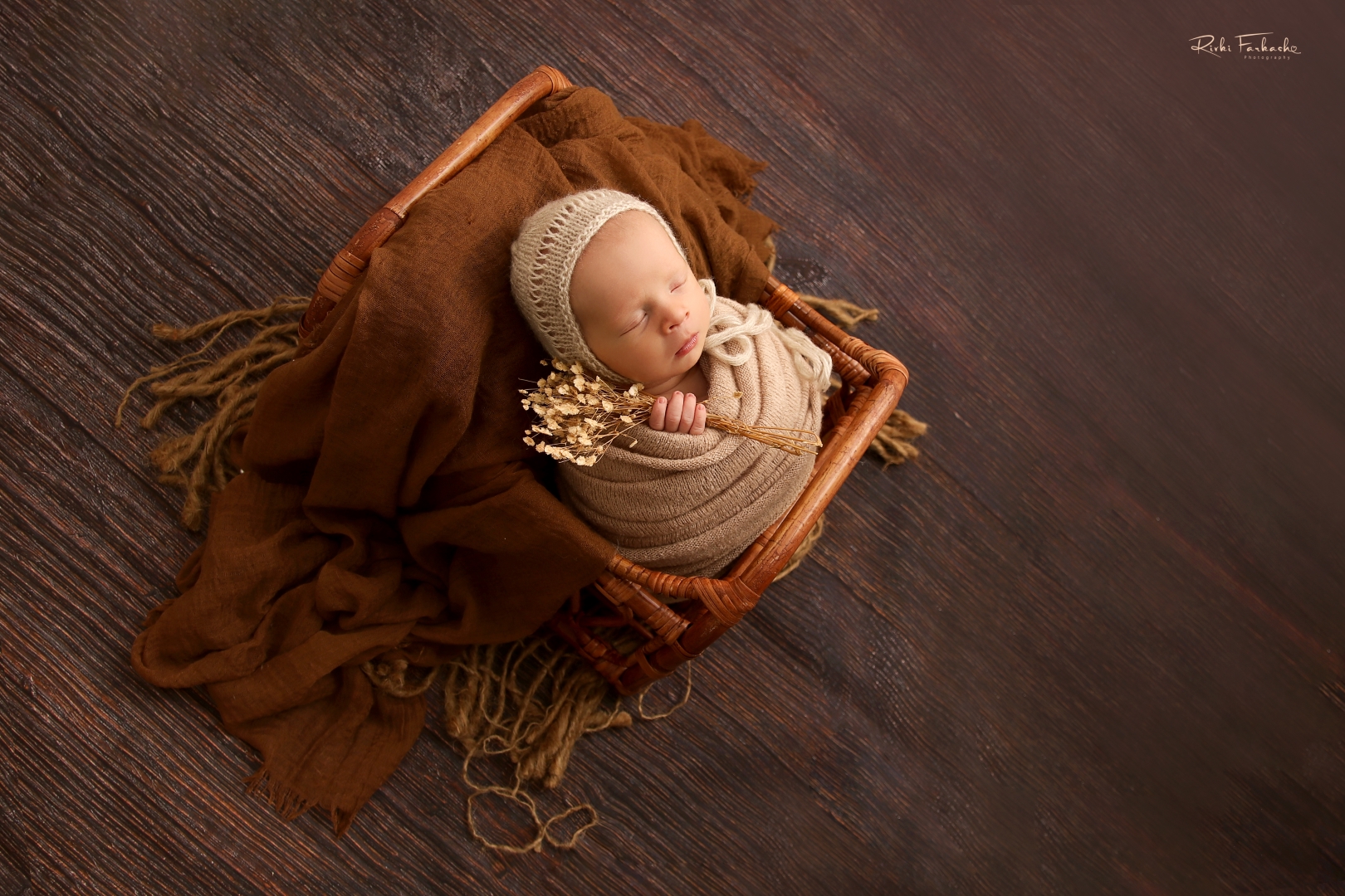 חתום (Large).jpg