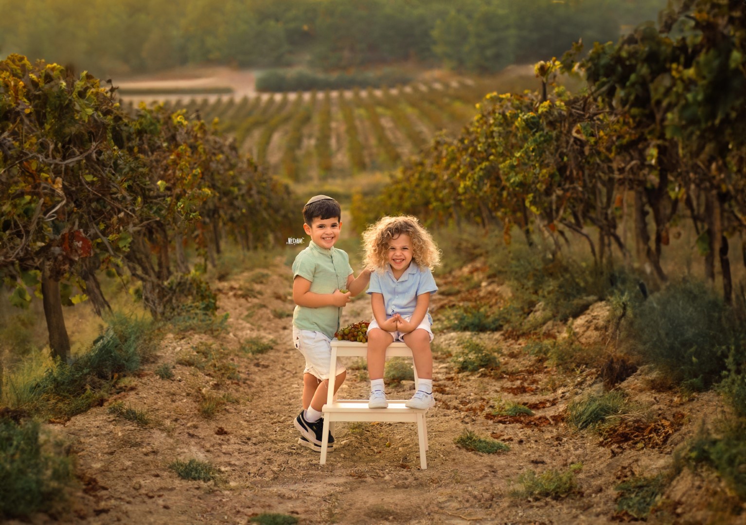 חתומישן (Large).jpg