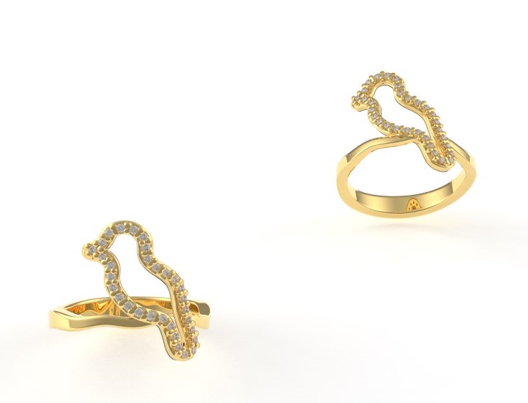 טבעת ציפור על ענף.jpg