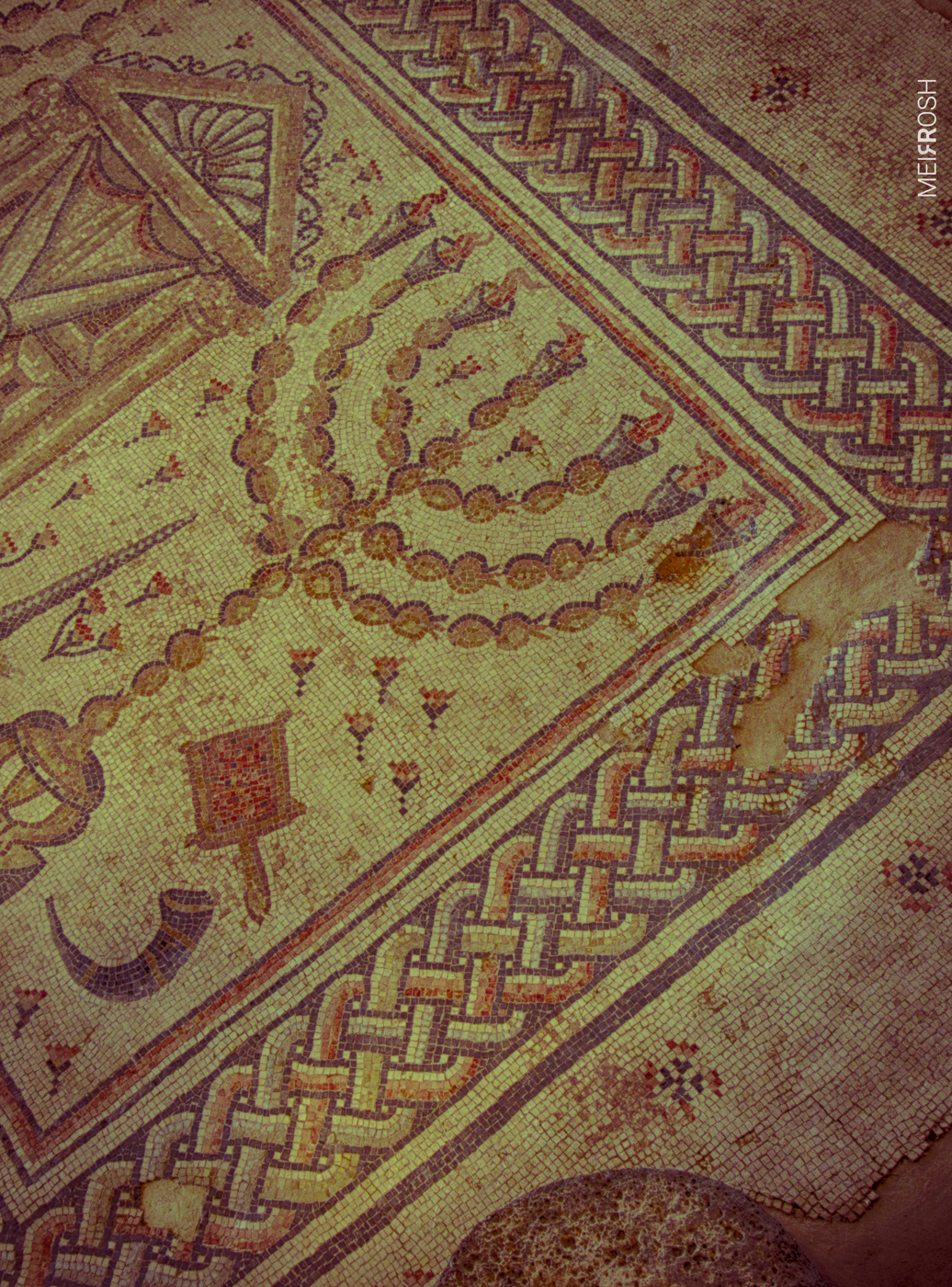 טבריא  וחמי טבריא (12)