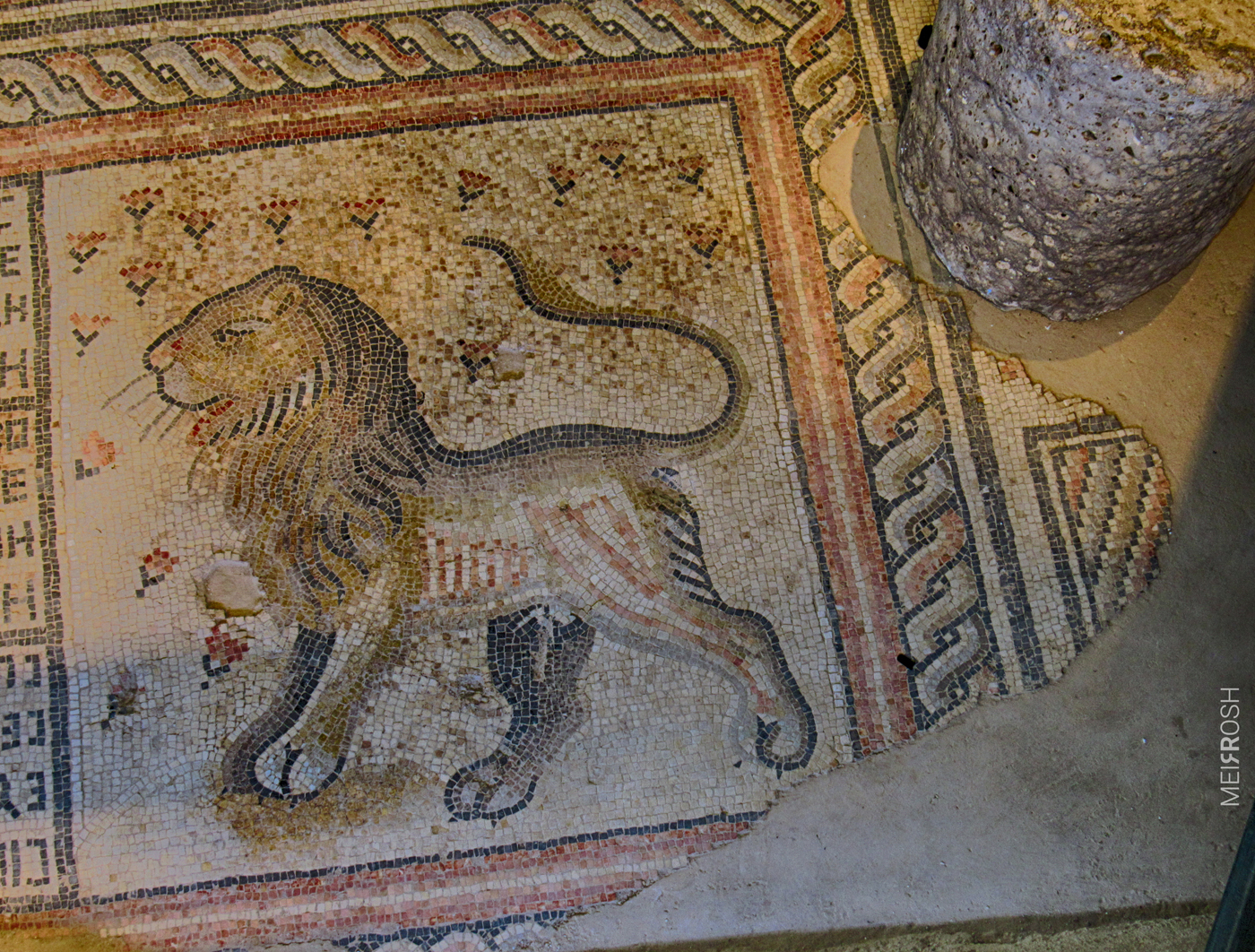 טבריא  וחמי טבריא (14)