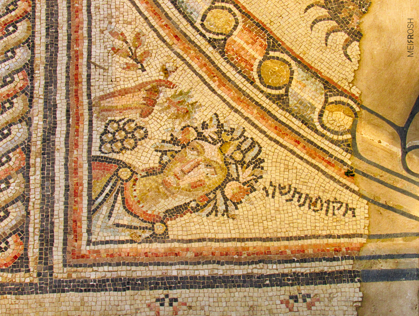 טבריא וחמי טבריא (15)