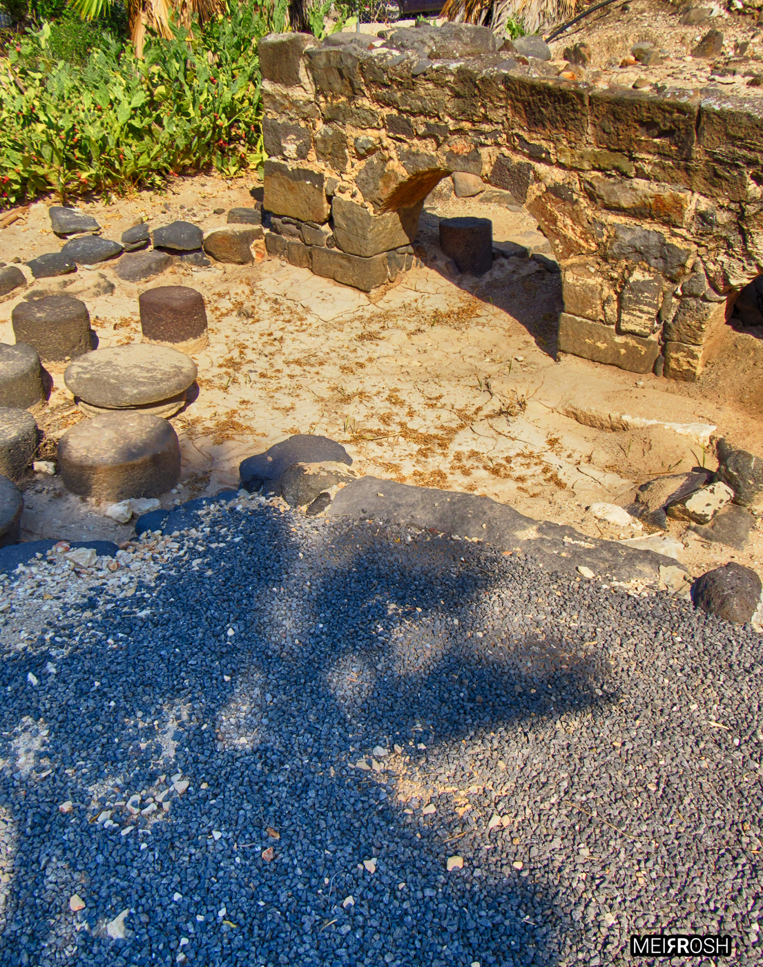 טבריא  וחמי טבריא (18)