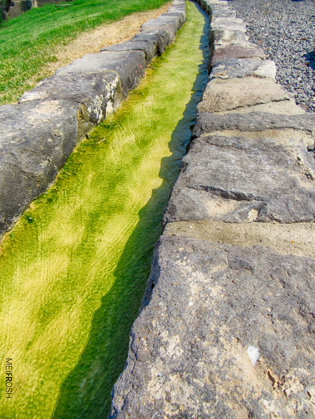 טבריא  וחמי טבריא (4)