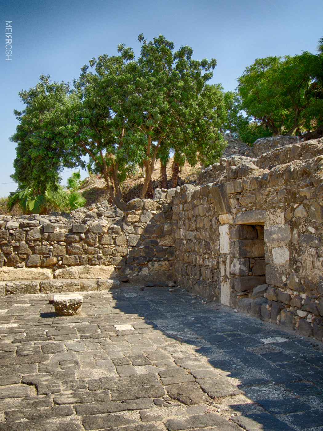 טבריא  וחמי טבריא (8)