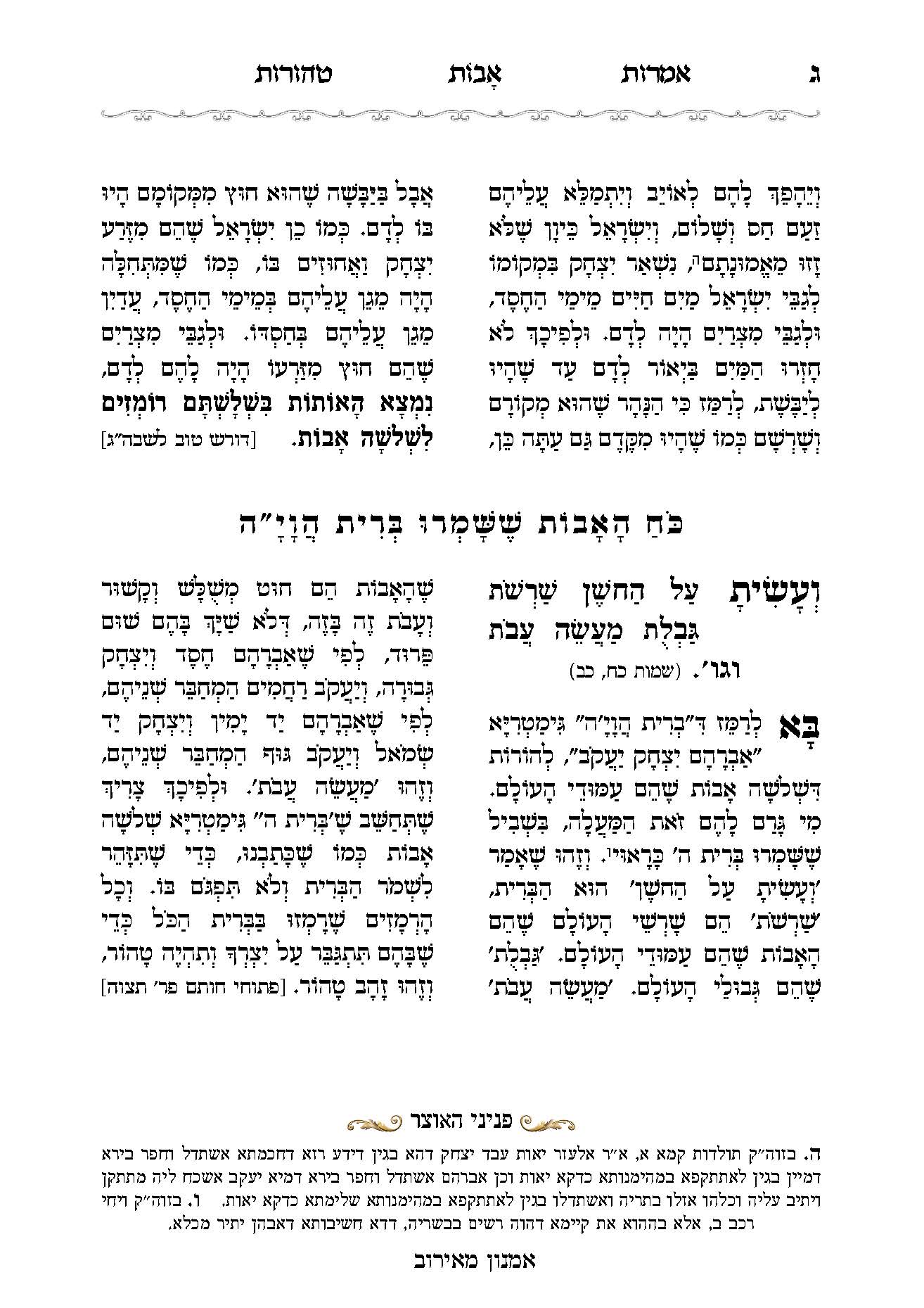 טהורות הערות שוליים-אמנון_Page_03