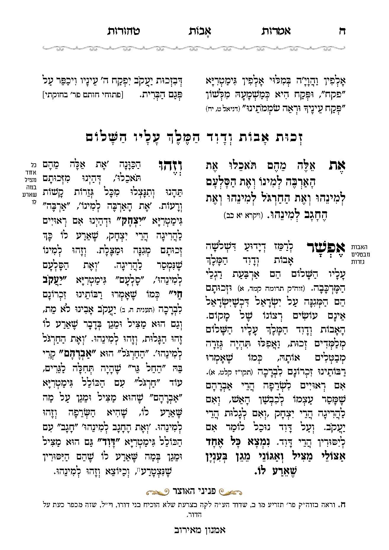 טהורות הערות שוליים-אמנון_Page_05