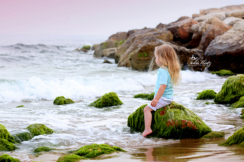 טובי כץ-0527602338