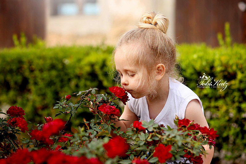 טובי כץ-0527602338