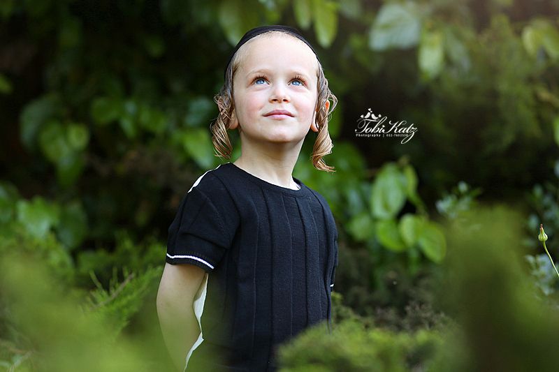 טובי כץ-0527602338