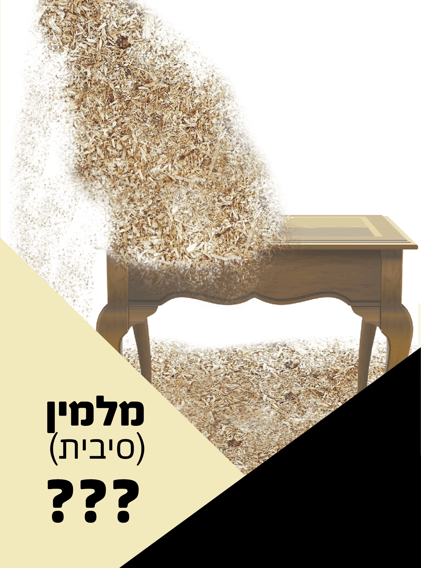 טיזר 3
