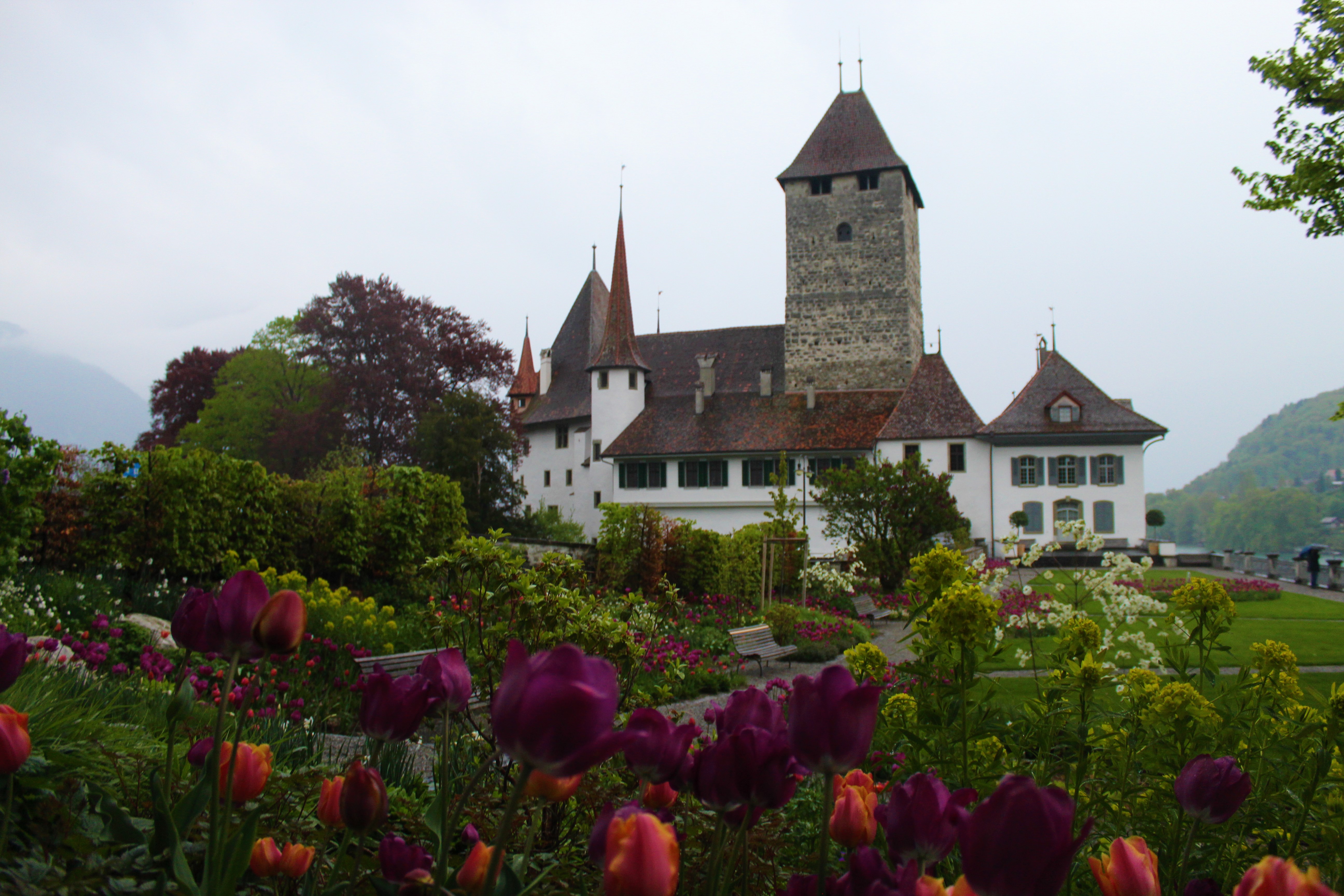טירת שפיץ בשוויץ