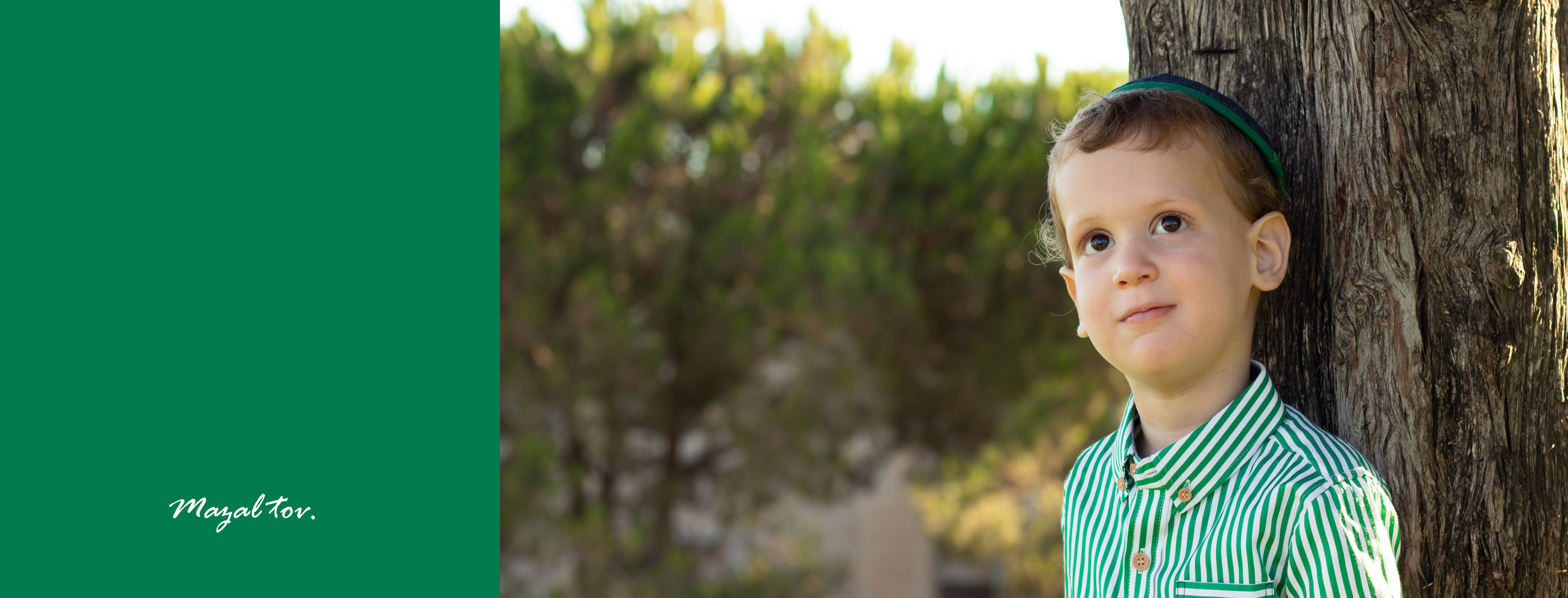 טעימה מאלבום חלאקה מרגש