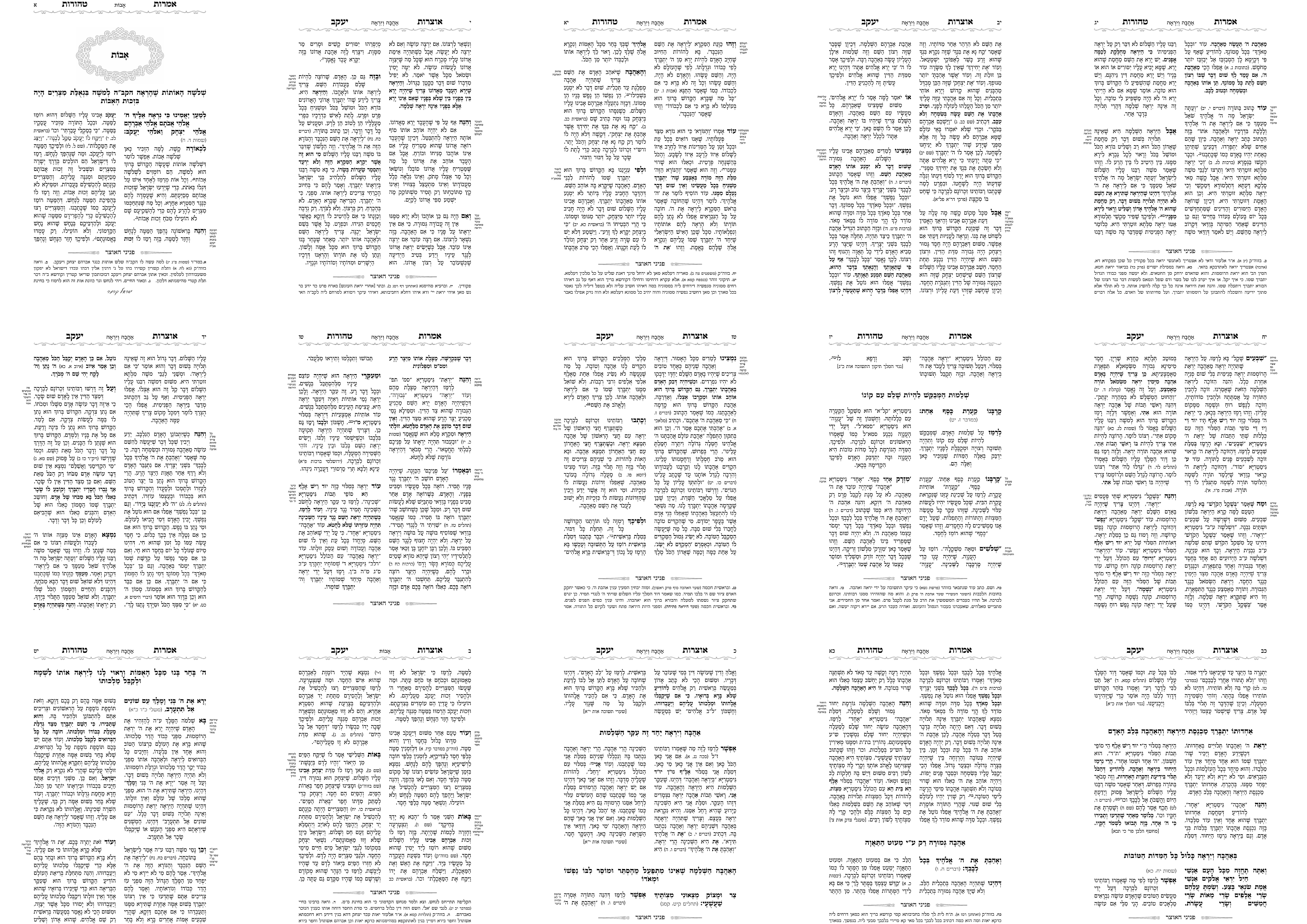 טקסט שתי טורים עם הערות.png