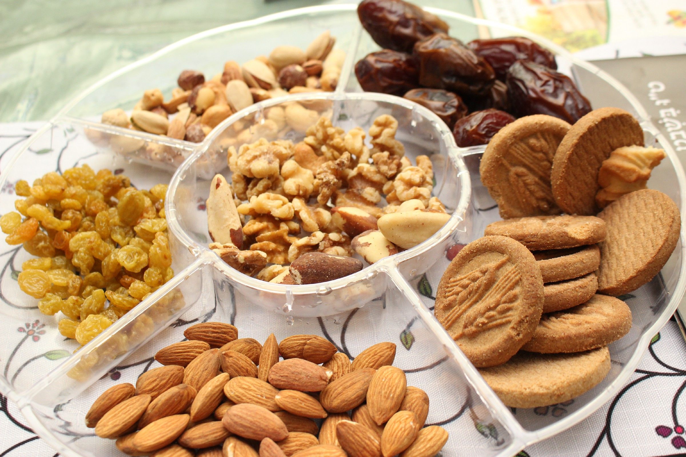 ט"ו בשבט תש"פ