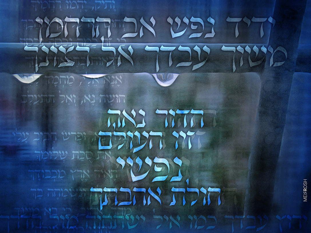 ידיד נפש MeirRoshDesignAAAA