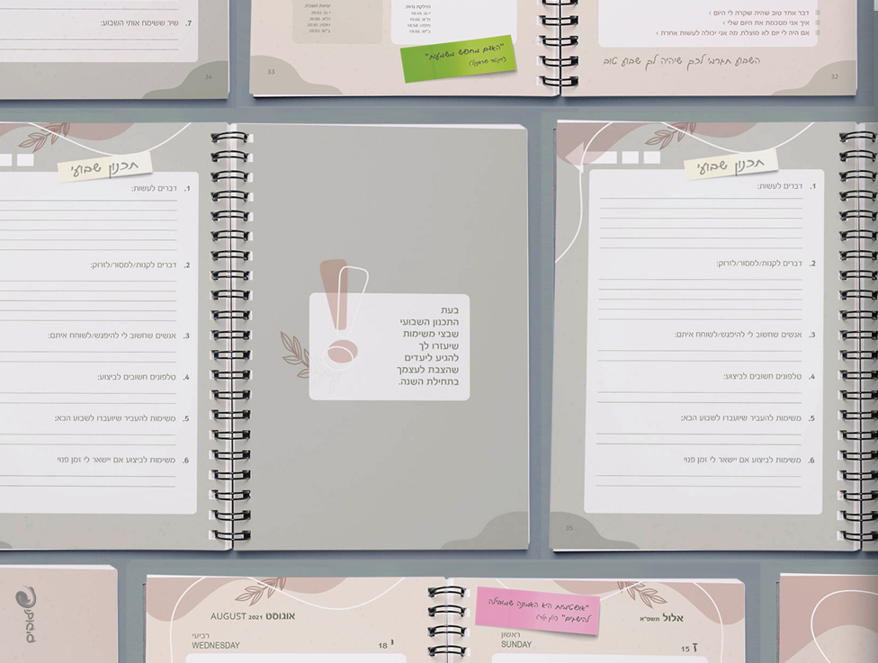 יומן_prog16.jpg