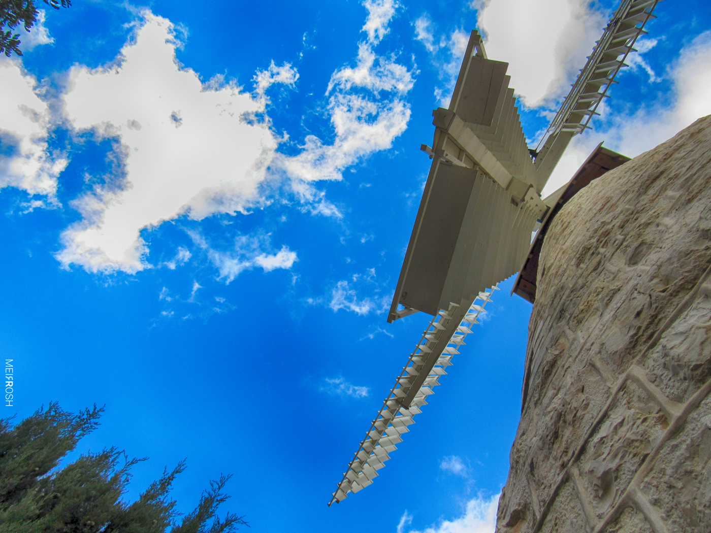 ימין משה (13)