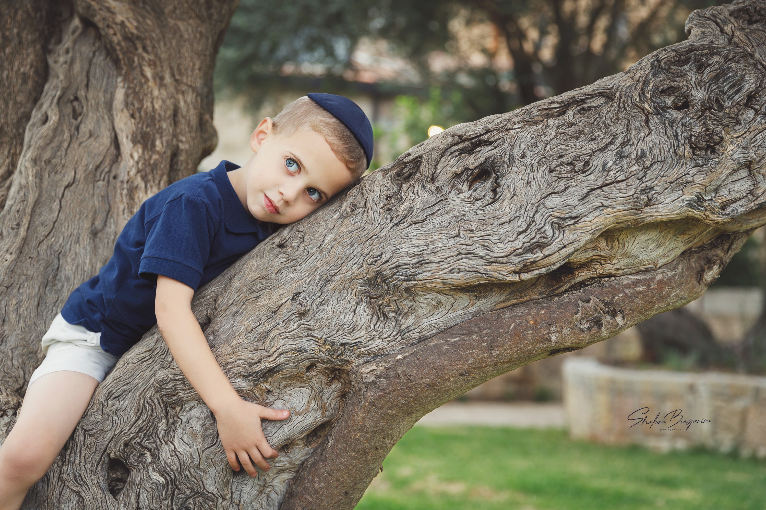 ימין משה 3מוקטן (1).jpg